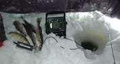 Walleyes Ice Fishing