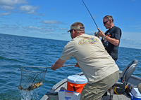 Walleye Fishing Winnibigoshish