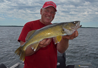 Walleye Fishing Mille Lacs Lake