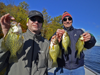Crappies caught by Tim Higgins and Brian Shields