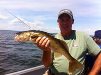 Walleye caught by Nik Diomich on Lake Winnibigoshish