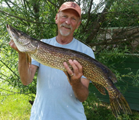 Northern Pike caught by Gus Sheker