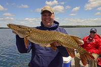 Northern Pike caught by Paul Kautza near Grand Rapids MN