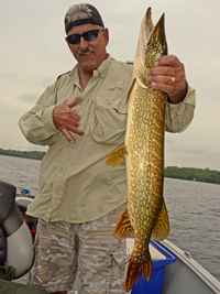 Northern Pike caught by Ernie on Pokegama Lake