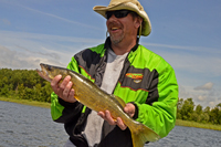 Walleye Caught On Cutfoot Sioux Lake