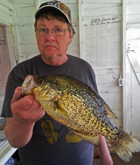 image of Steve R with huge Ball Club Lake Crappie