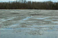 image of Ice Out on Island Lake
