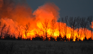 image of CRP land being burned