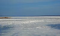 image of ice conditions on Lake Winnie as of November 22