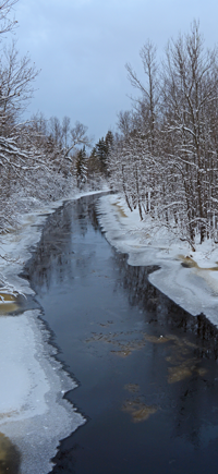 image of ice forming on the deer river 