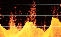 image of Humminbird screen view down imaging