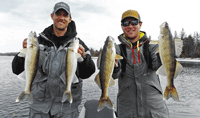 image of Walleyes caught on Rainy River