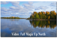 image links to video about fall