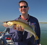 Travis Krug with a nice Leech Lake Walleye