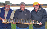 image of fishermen with limits of Walleyes