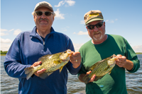image of larry lashley and Tim Fischbach holding big Crappies