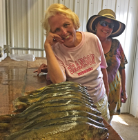 image of alma landson and susan bolos with limits of walleyes