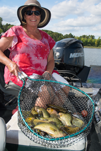 image of susan bolos with net full of Crappies