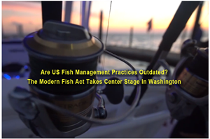 image links to video about modern fish act
