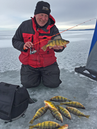 image of perch caught on lindy tingsten bug