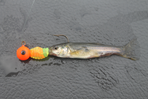 image of crappie lure