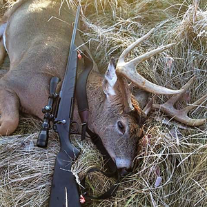 image of buck deer taken by greg clusiau