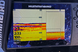 image of crappies on screen of ice helix 7