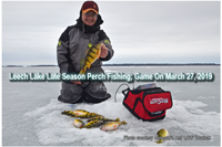 image links to perch fishing report