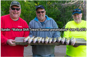 image of 3 men with limit of walleyes