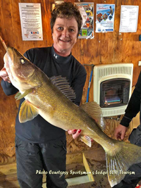 image of walleye caught on lake of the woods