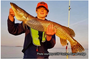 image of man with giant northern pike