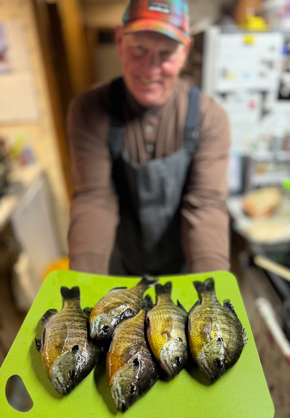 Sundin Bluegill Fishing image of Jeff Sundin with 5 bluegills ready to clean for supper