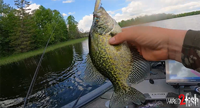 image links to fishing video about catching crappies and bluegills with both power, and finesse baits