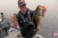 link to bass fishing video