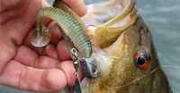 image links to fishing article about using under spin lures for catching bass and panfish