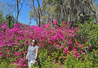 image of the Hippie Chick standing in front of wall of Azaleas at the Brookgreen Gards