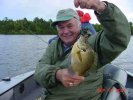 Dick grins like a kid over Bluegills like this