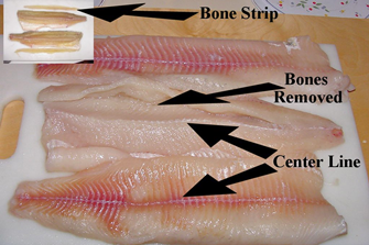 image of pike fillets with y bone removed
